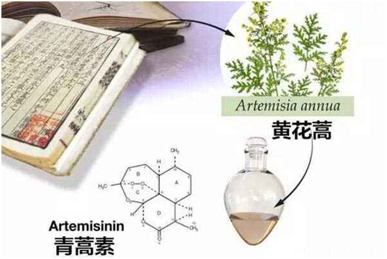 yy易游(中国)体育.官方网站,米乐：向中医药看齐，与世界共享中医药文化(图1)